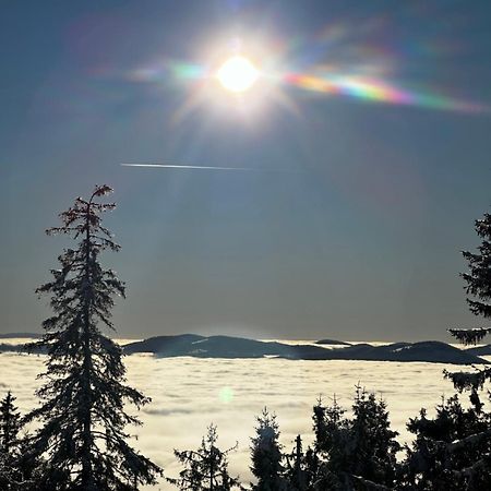 Stara Chalpa Ozna Villa Sól Kültér fotó