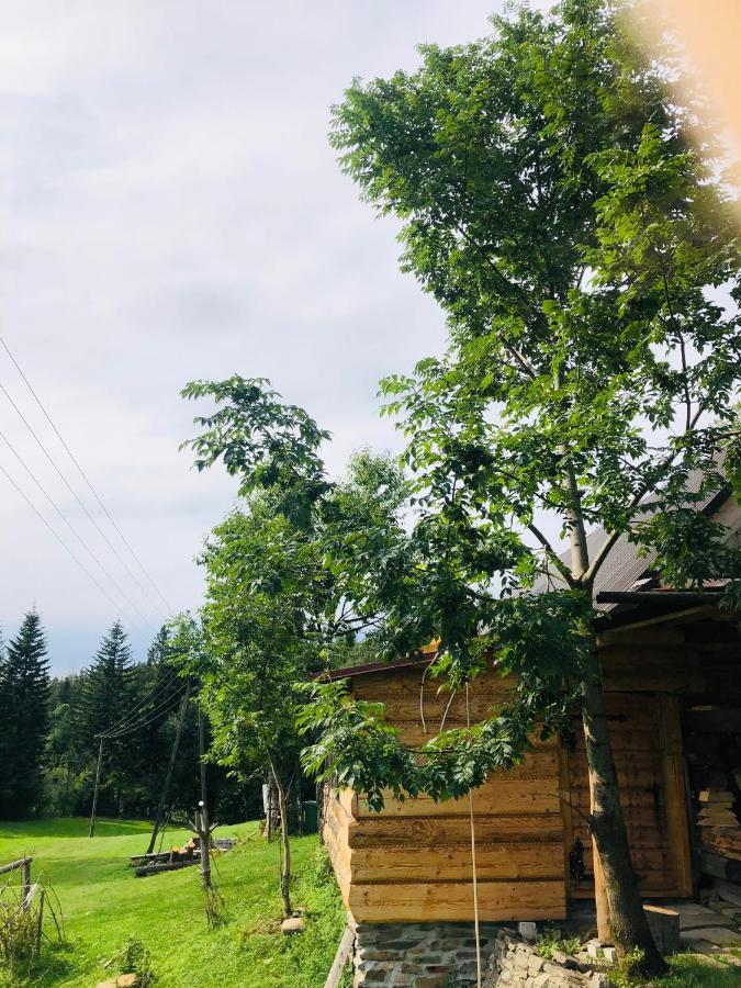Stara Chalpa Ozna Villa Sól Kültér fotó