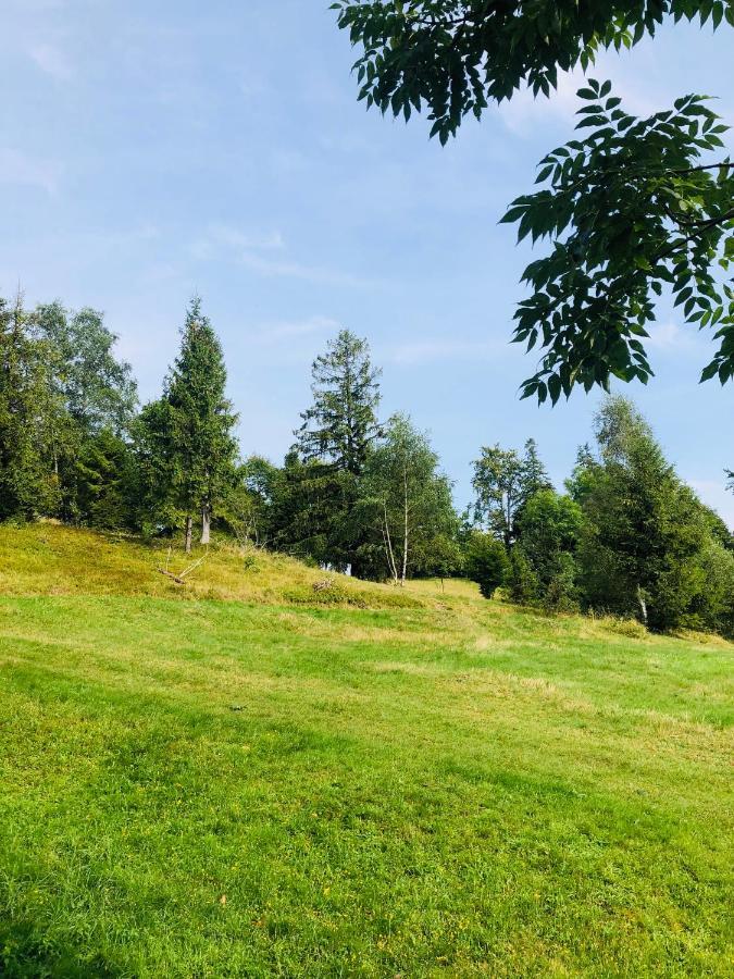 Stara Chalpa Ozna Villa Sól Kültér fotó