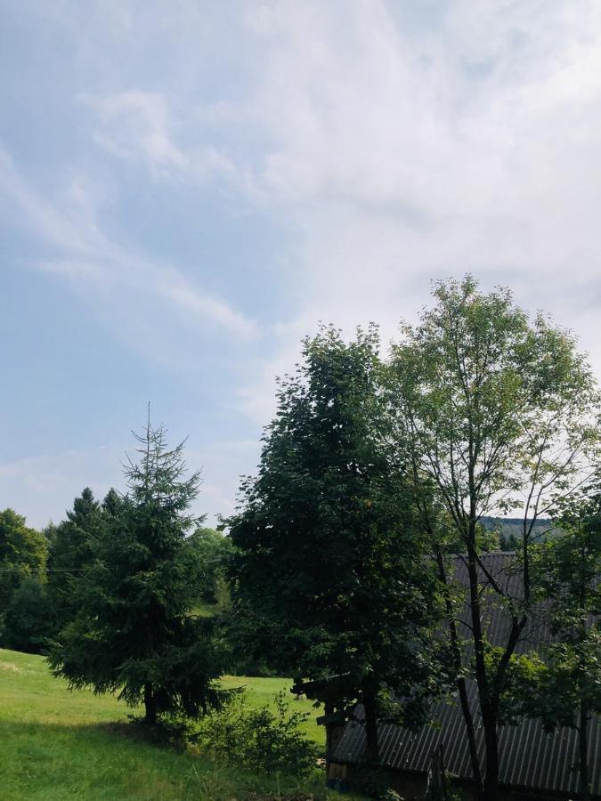 Stara Chalpa Ozna Villa Sól Kültér fotó